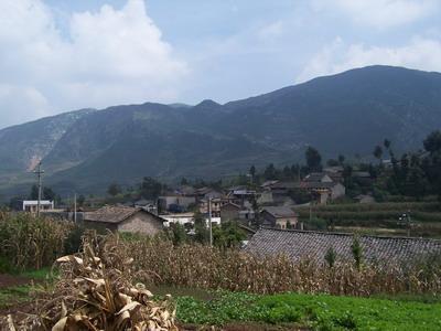 水田乡属于哪个镇