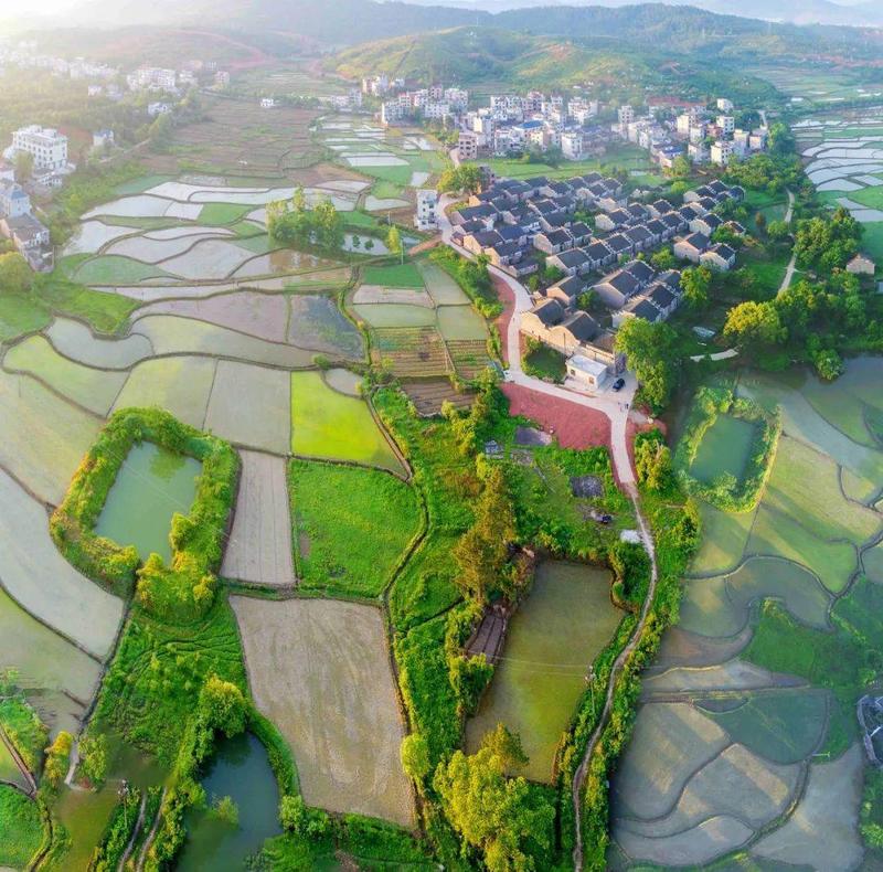 永年县最富三个镇