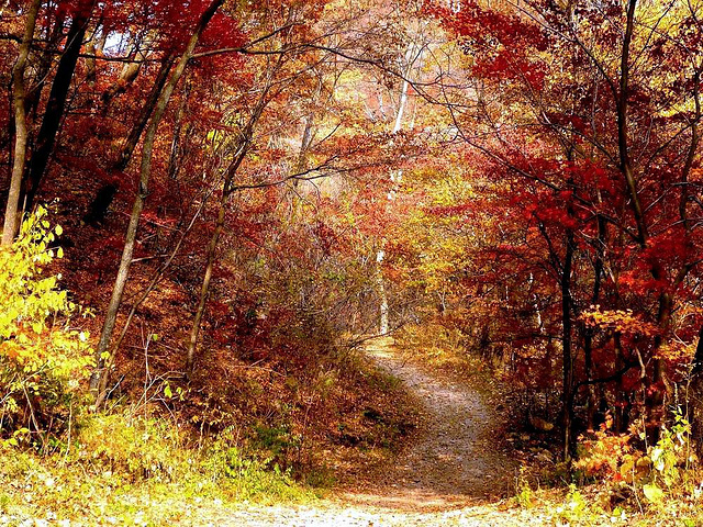 汤巷红杉林最佳观赏时间是多少