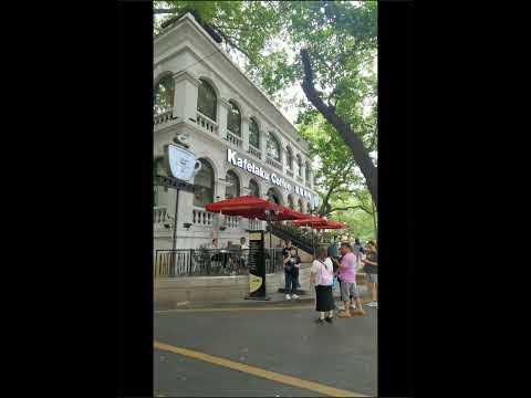 沙面和圣心大教堂近吗