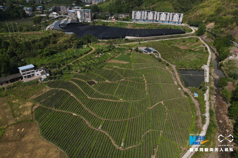 泥溪镇最出名三个景点