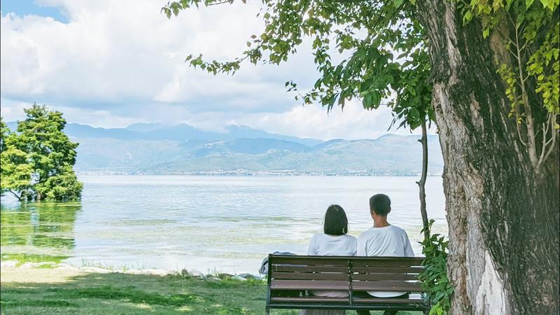 洱海廊桥的简介和历史