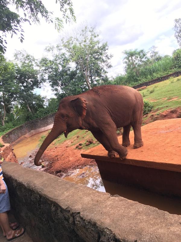 海鸥馆官方网站入口网址