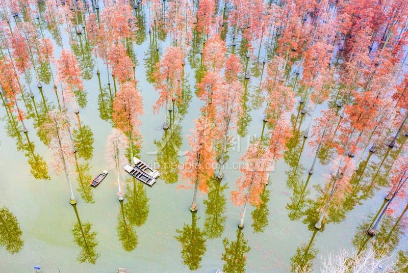 涨渡湖一日游攻略