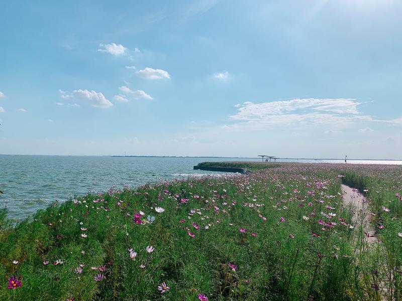 淀山湖风景区攻略