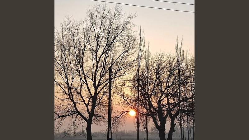 淖毛湖为啥没人去