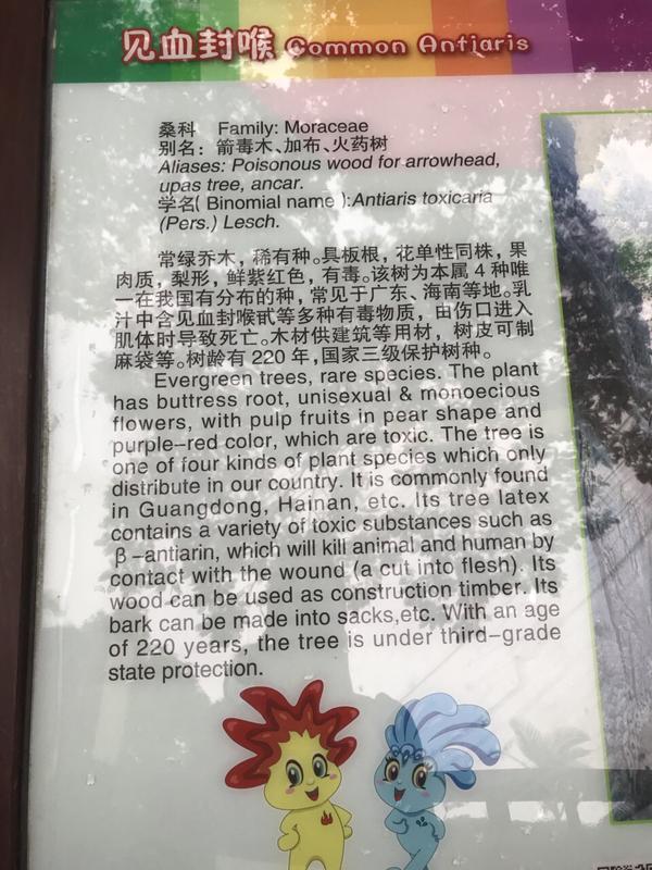 湖光岩一日游攻略