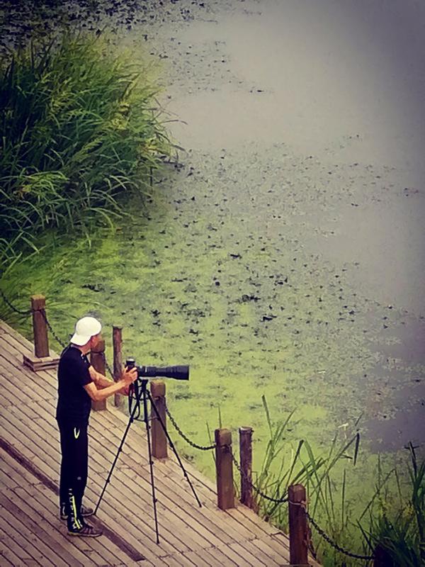 湛河源莲花湿地公园