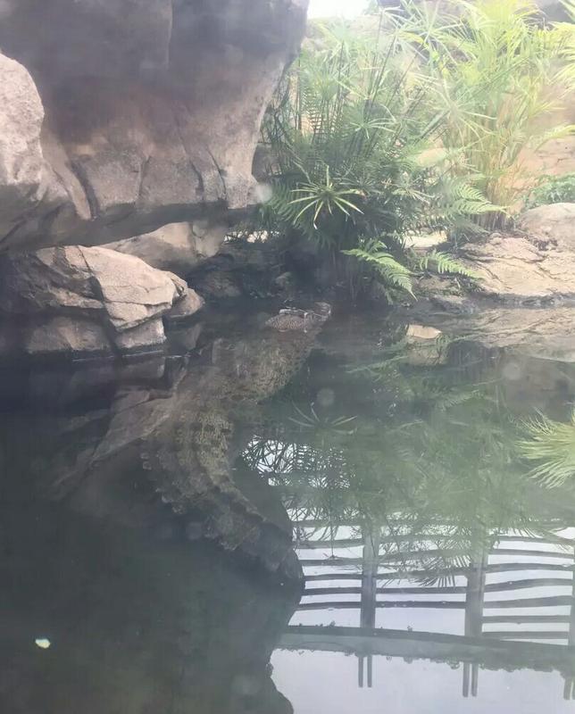 湿地公园可以带宠物吗