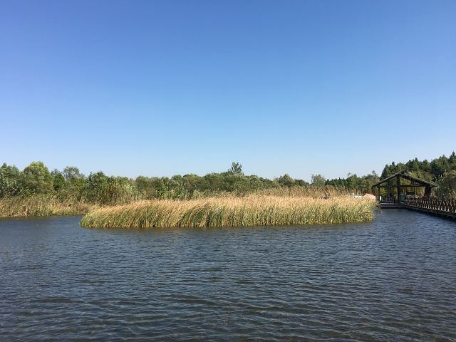 溱湖湿地公园简介