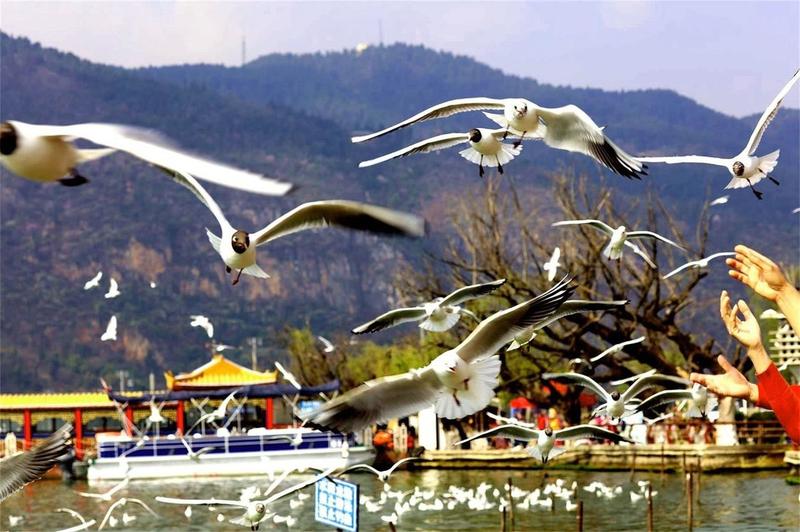 滇池为什么不叫滇湖