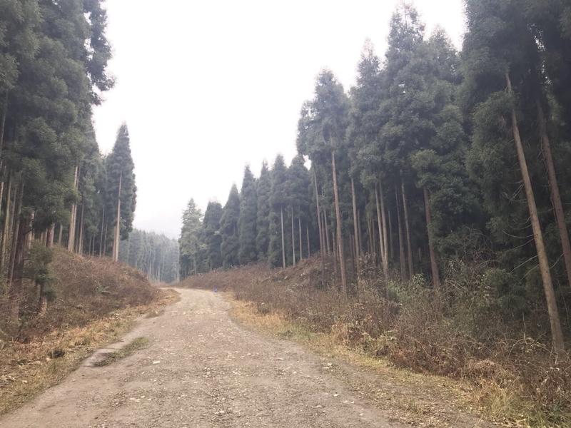 滦平县鸡冠山