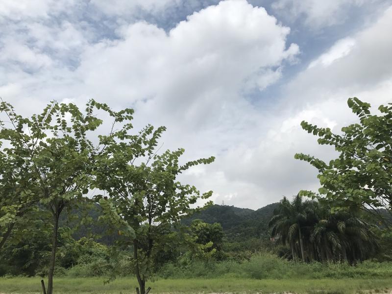 滴水岩风景区简介