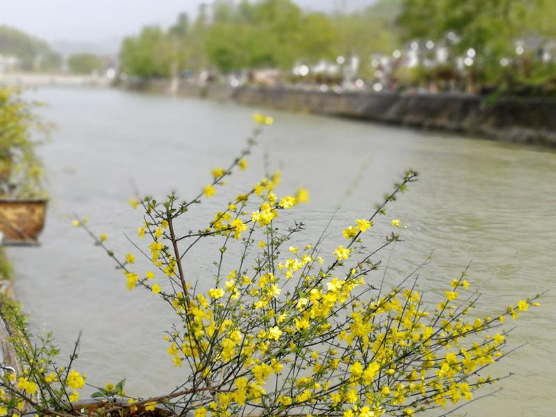 潞江坝网红景点