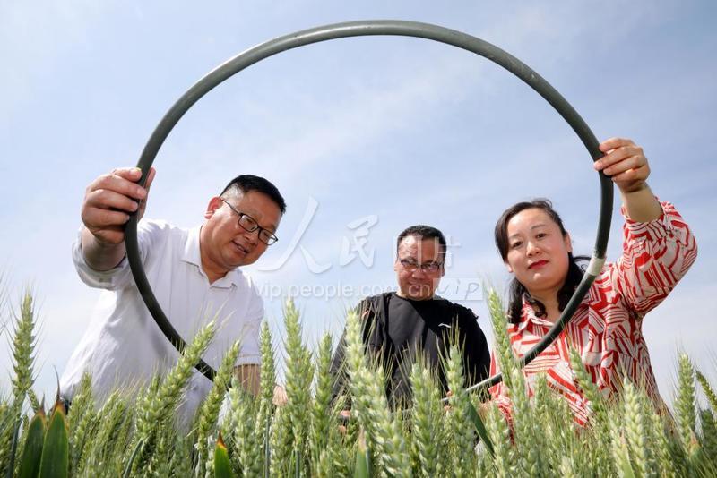 濉溪县双堆集镇