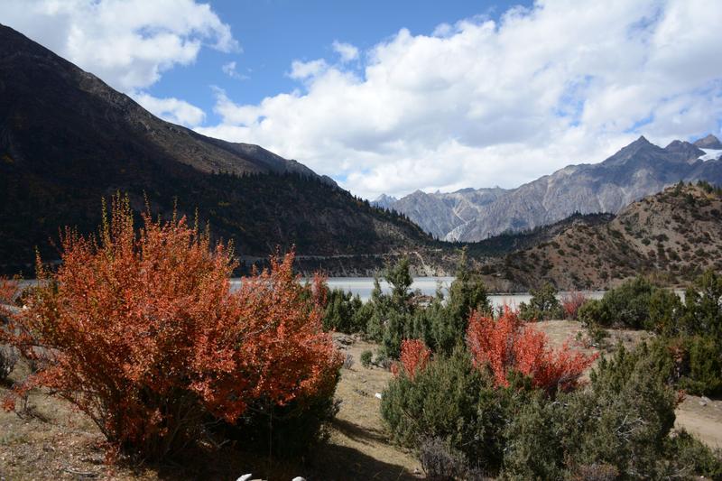 然乌镇海拔是多少米高