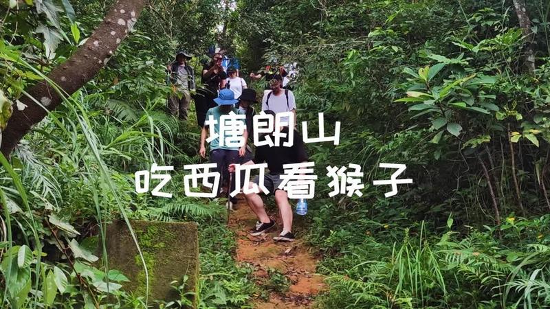 爬塘朗山要多少个小时