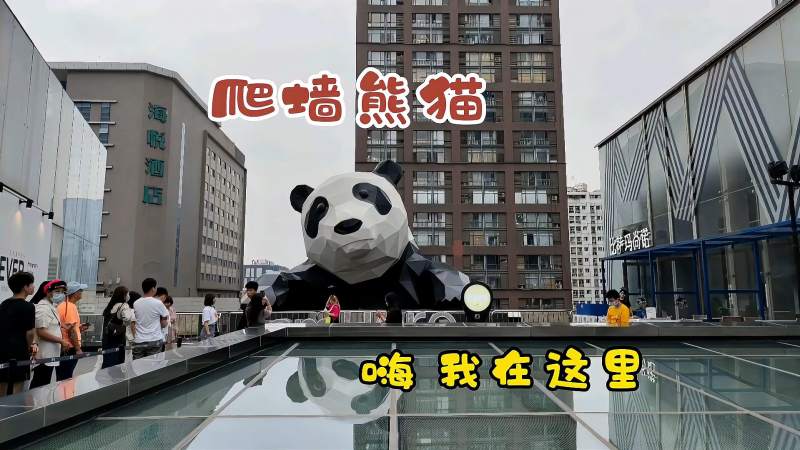 爬墙熊猫在春熙路还是太古里