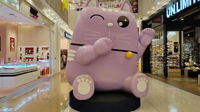 猫城是哪个城市