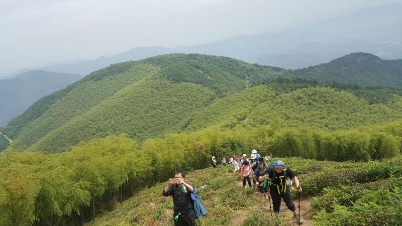王位山在哪里