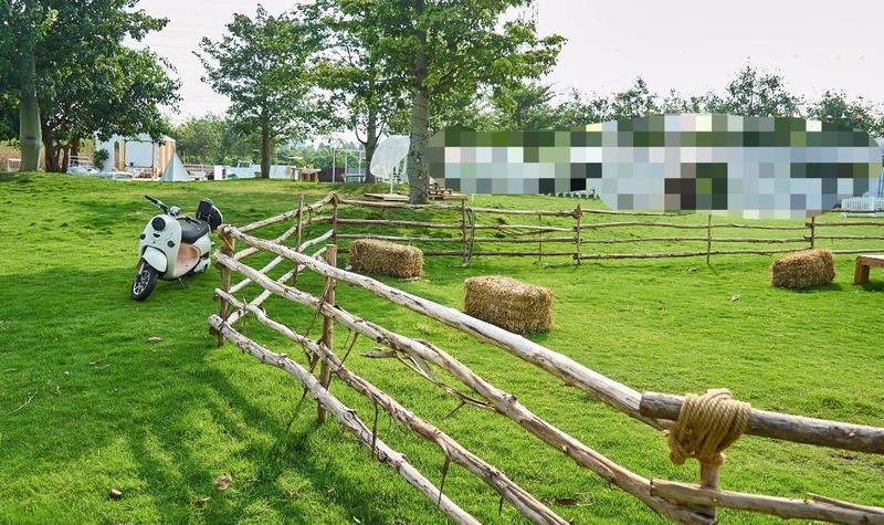 玫瑰海岸在哪里