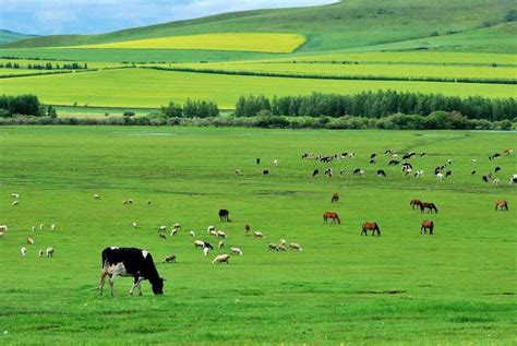 现在去内蒙古安全吗