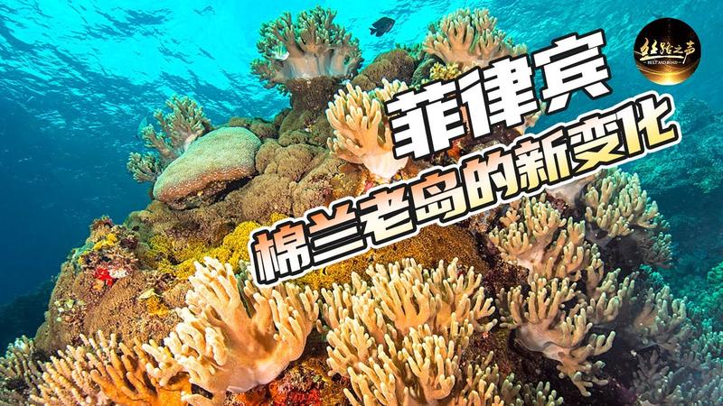 珊瑚台地发现设营地