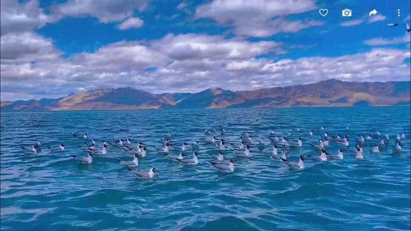 班公湖海拔多少米