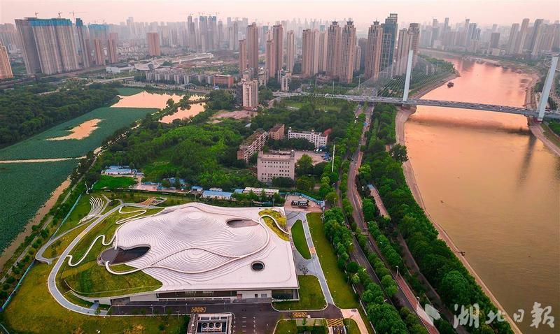 琴台美术馆怎么去