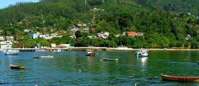 瓦尔迪维亚来自哪个国家