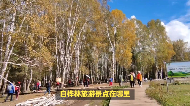白桦林温泉谷