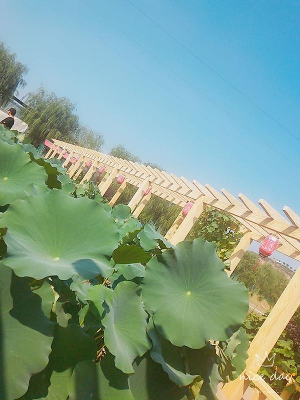 百泉湖收费价目表