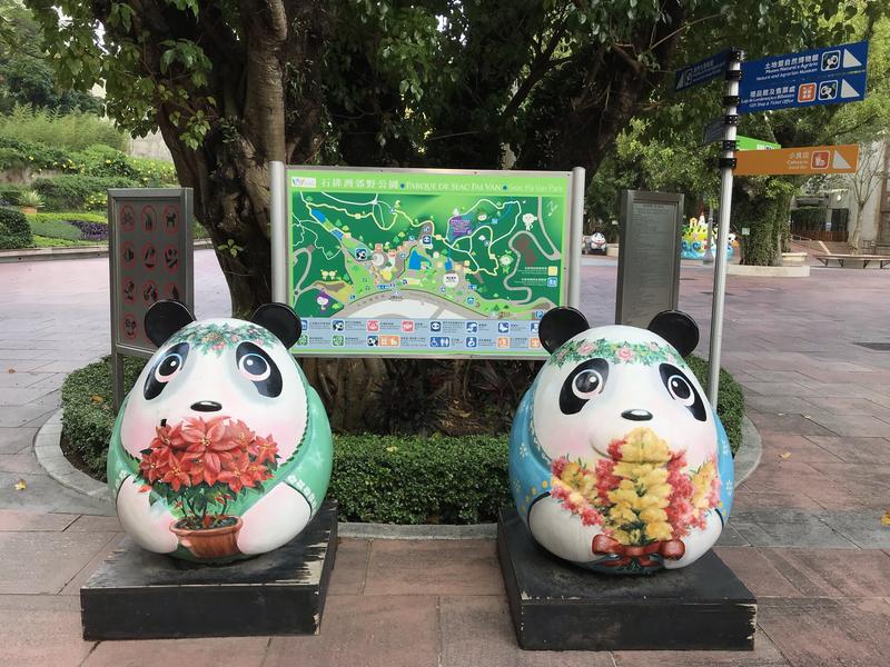 石排公园鸡窝在什么位置