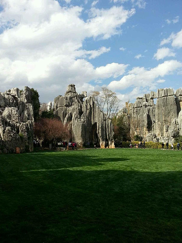 石林是哪个省的城市