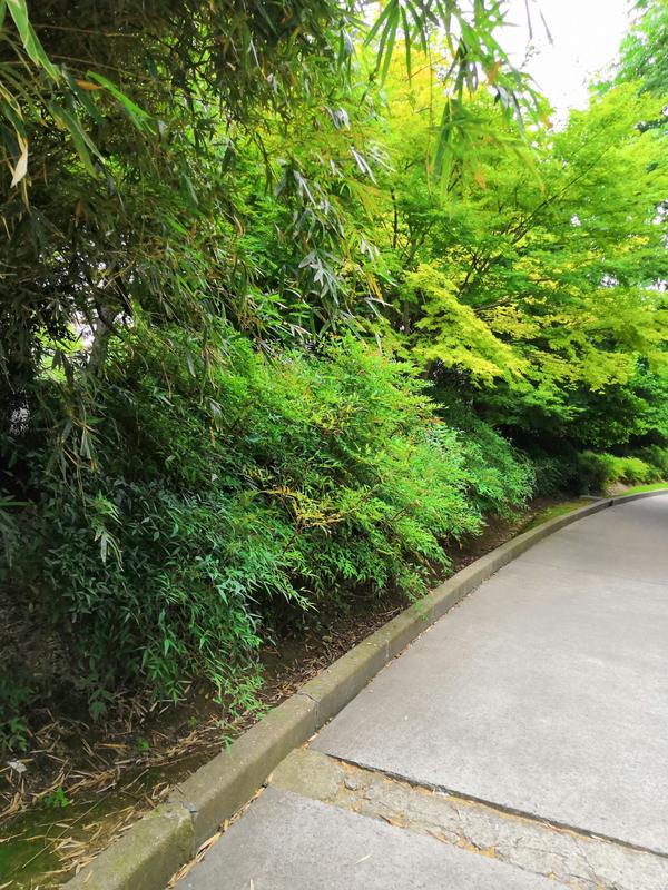 石牛山适合老人玩吗