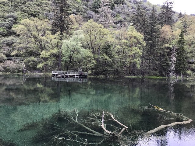 神池海拔高度是多少米