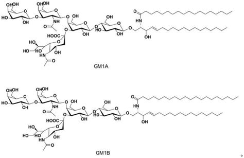 神经节苷脂安全吗
