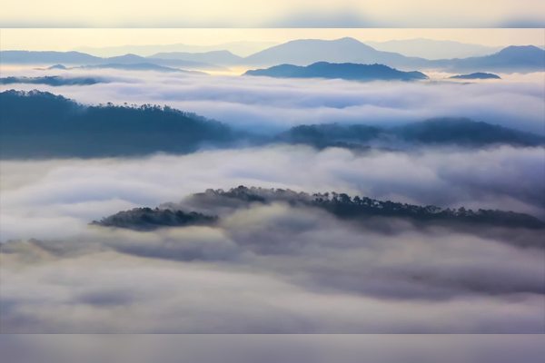 离我最近的山免费的