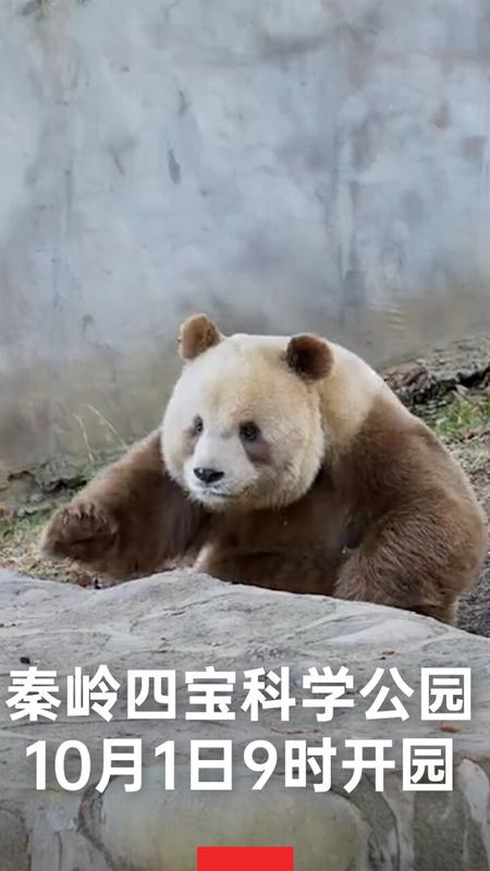 秦岭四宝科学公园