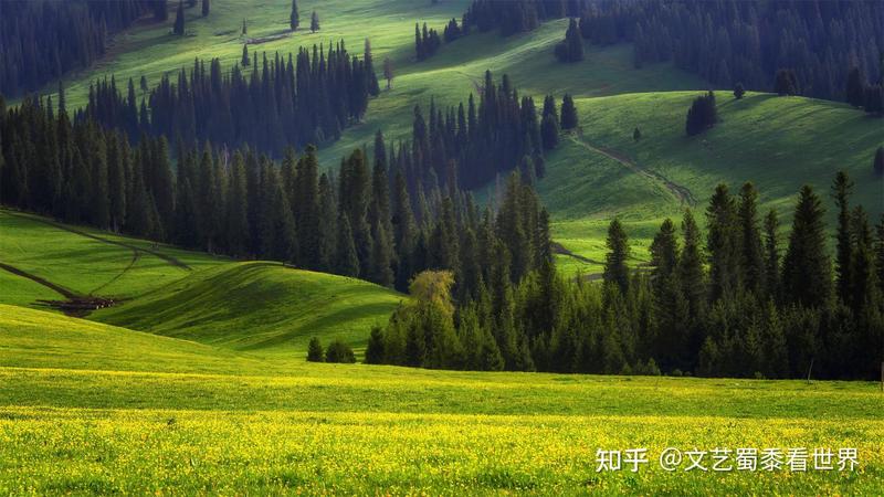 空中草原的景点介绍