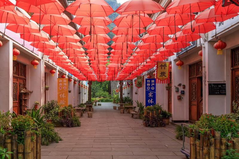 竹博园必去三个景点