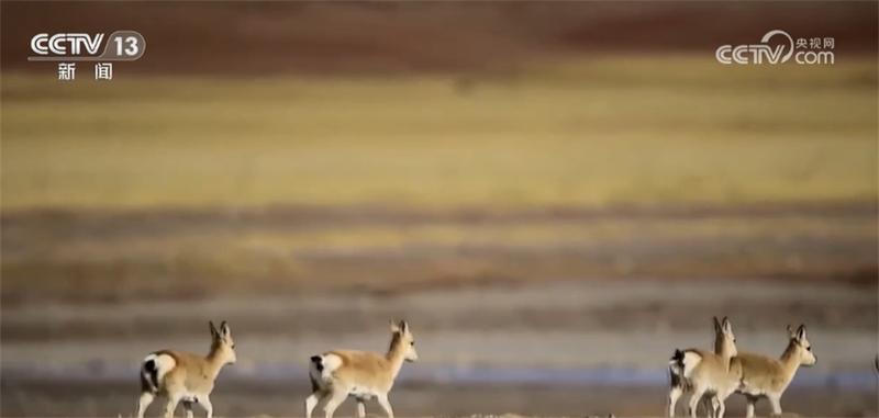 第二批5个国家公园