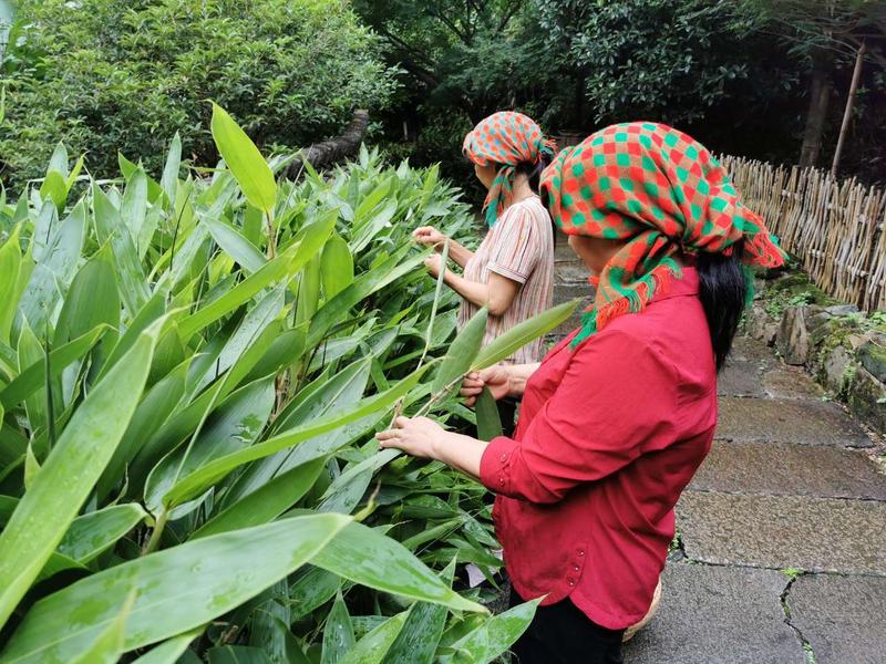 篁岭晒秋在哪里