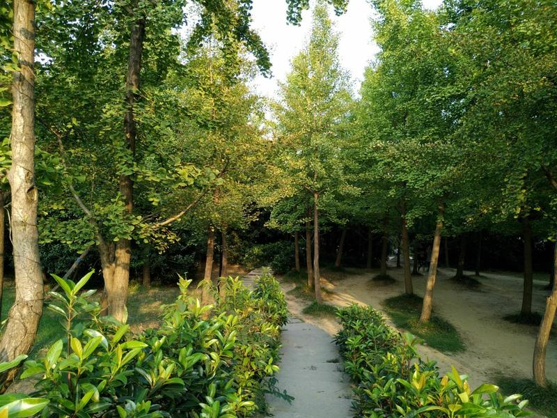 篁岭景区附近有什么好玩的