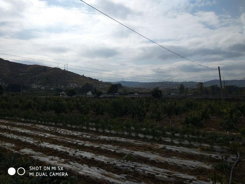 红格温泉60元包吃住电话