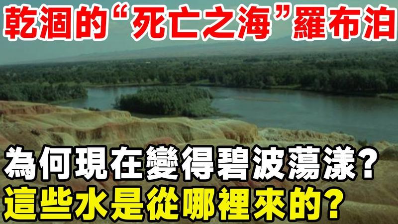 罗成淤泥河在哪儿