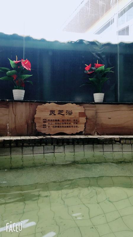 罗浮山温泉价目表