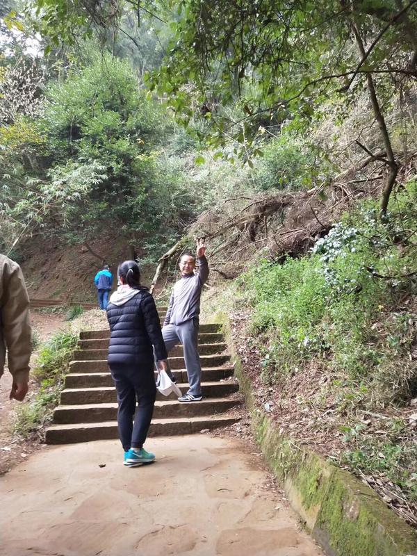 老君山景区是什么时候建的