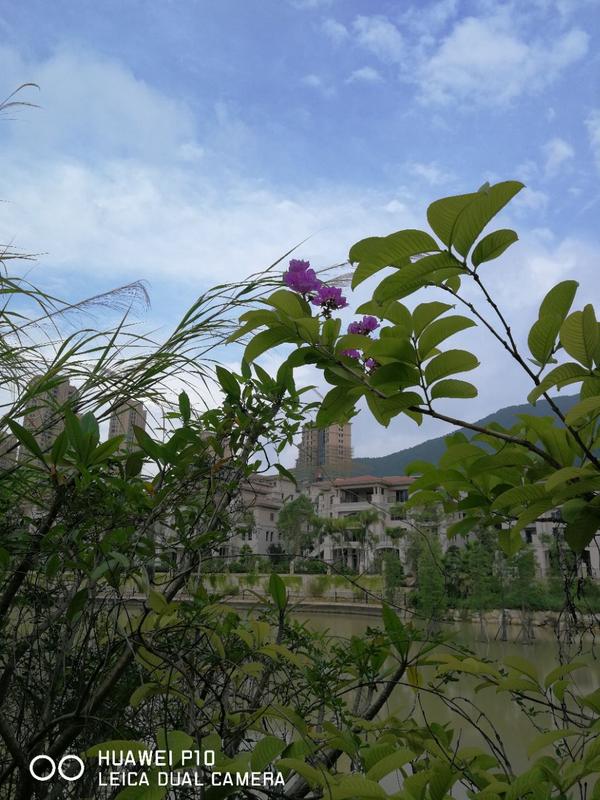 聚龙小镇一日游攻略