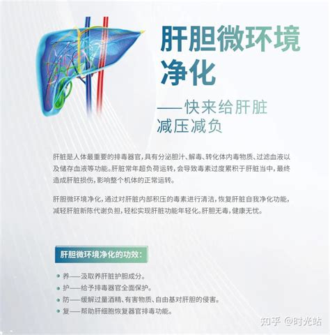 肝胆净化靠谱吗